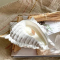 Conch Shell Silicone Mold - Seashell Tray & Trinket Dish Mold